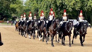 Queen's Guard's Beautiful Horses