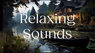 Relaxing Nature Sounds  & Calming Ballads for Peaceful Moments ‍️