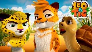 Leo and Tig - The Best Runner  Cartoon for kids Kedoo Toons TV