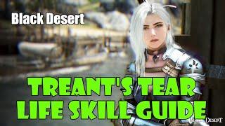 [Black Desert] Treant's Tear Guide! | How to Get This Beginner's Life Skill Stone!