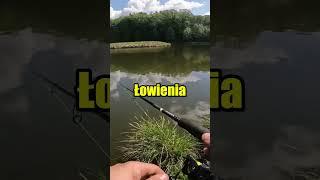 Sprytny Szczupak #wędkarstwo #fishing #spinning #szczupak
