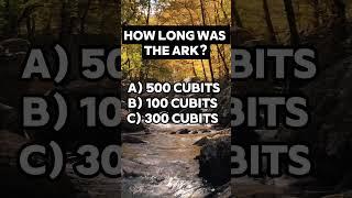 Bible Trivia Challenge: Test Your Knowledge!