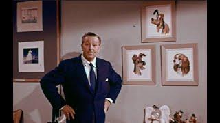 Walt Disney's "A Story of Dogs" Season 1 Ep 6 (Lady and the Tramp Color Excerpt)