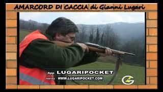 02 GL.  CACCIA CINGHIALE , SANGLIER , JABALI , WILD BOAR  GOMPILATION  DI  AMARCORD DI GIANNI LUGARI