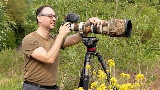 A Bird Photography Vlog - My Tips For Photographing Warblers