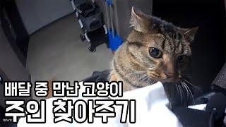 고양이가 여기 왜 있지??  #블랙박스 #고양이 #가출