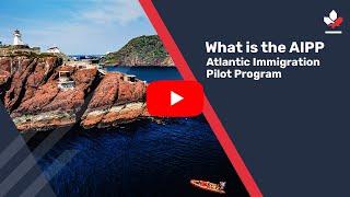 What is the AIPP (Atlantic Immigration Pilot Program)