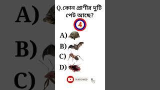 কোন প্রাণীর দুটি পেট আছে? #gk #shorts #youtubeshorts #gkshorts