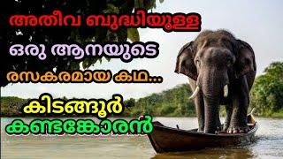 കിടങ്ങൂർ കണ്ടങ്കോരൻ #viralvideo #video #youtube #malayalam #videos #story