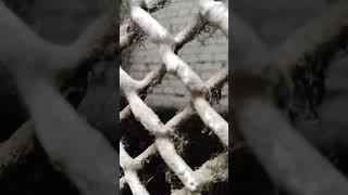 ВЫЗОВ И РАБОТА В ШАХТЕ ПАССАЖИРСКОГО ЛИФТА КМЗ 1990Х НА ЭТАЖНЫХ ПЕРЕКЛЮЧАТЕЛЯХ.