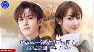 Yang Zi and Wang Yibo join hands with Noon Sunshine to create the new drama "The Tree of Life"