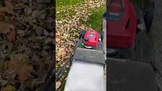 Effortless Autumn Cleanup: Bagging Leaves with My Honda Lawn Mower