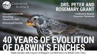 40 Years of Evolution of Darwin's Finches