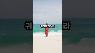 무엇이 소중한가? #부처님 #진리 #인생 #부처님말씀 #진리의말씀