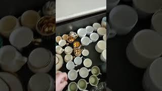 שגרת הבוקר של מתן ניסטור