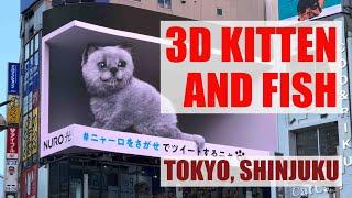 3D Kitten and Fish in Shinjuku (Tokyo, Japan)