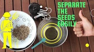 Easy way to separate seeds from pods and chaff