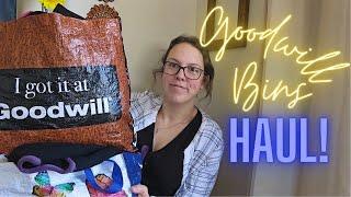 This Entire Haul Is Profit! Goodwill Bins Finds To Resell Online On eBay, Poshmark, Mercari & Depop