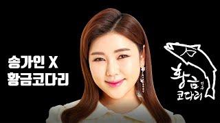 [황금코다리X송가인]부모님도 감동한 황금코다리 이야기 확인해보세요!