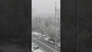 2025.05.02 Москва. Май. И снова снег...