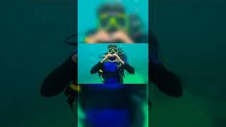 SCUBA DIVING  ‍️ | Netrani island | Murudeshwar