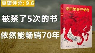 《麦田里的守望者》谁的青春不迷茫，那一定白活了。对经典的每一次重温，都是一次心灵的旅行。