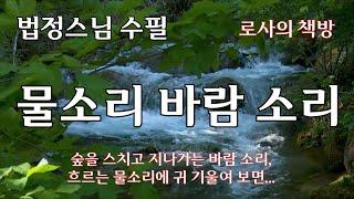 [법정 스님/물소리 바람소리/숲속의 이야기]숲을 스치고 지나가는 바람 소리, 흐르는 물소리에 귀 기울여 보면.../로사의 책방