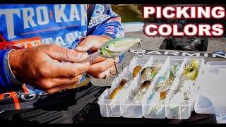 Save Money - How to choose the right color crankbaits for Bass Fishing - Instructional Series