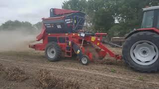 Zbiór fasoli 2019 massey ferguson& Double Master II