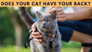 12 Surprising Signs Your Cat Is Protecting You!