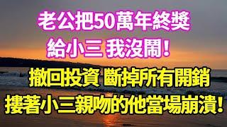 老公把50萬年終獎給小三 ，我沒鬧！撤回投資 ，斷掉所有開銷，摟著小三親吻的他當場崩潰！#悠然書影#爽文#大女主#家庭#豪門