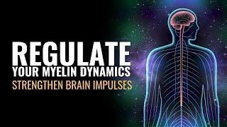 Multiple Sclerosis | Regulate Your Myelin Dynamics | Strengthen Brain Impulses | Heal Spinal Nerves