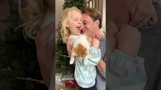 Dad gets best reaction from daughter for new kitten! 