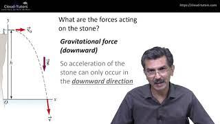 STEM The Confusion - Projectile Motion