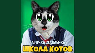 Школа котов