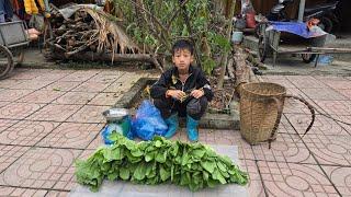 Daily boy khai, Harvesting vegetables to sell, cooking and taking care of black chickens and pigeons