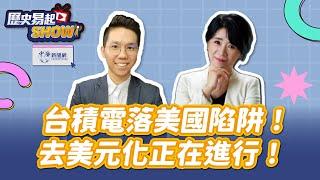 【歷史易起SHOW】台積電落美國陷阱！去美元化正在進行！｜前立委 李貴敏｜歷史哥｜11.15.24