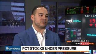 Cronos CEO Is Seeing 'Very Large' Demand for Legal Pot in Canada