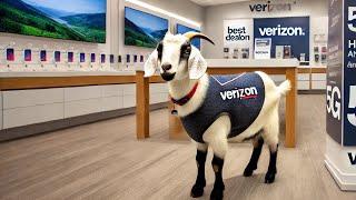 Verizon Did More For Hurricane Ravaged Areas Than U.S. Leaders...