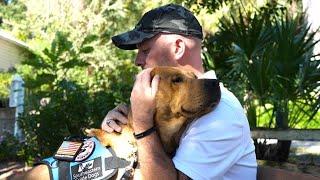 Dogs Inc: The PTSD Battle Can be Won