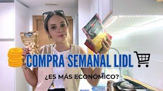 COMPRA SEMANAL LIDLcon PRECIOS  ¿ES MÁS ECONÓMICO?