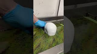 Hydro Dipping #satisfying #hydrodipping