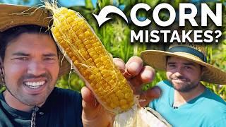 Did I Mess Up My Corn Harvest? 