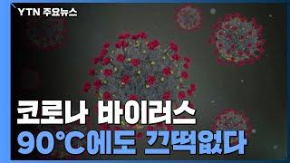 "코로나바이러스 바늘로 100번 찔러도 90도 열에도 끄떡없다" / YTN