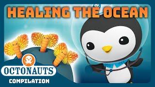 @Octonauts - 🩹 Healing the Ocean 🪸 | 3 Hours+ Full Episodes Marathon