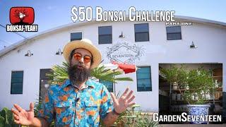 $50 Bonsai Challenge (Part 1) & Garden Seventeen Tour - Bonsai-YEAH!