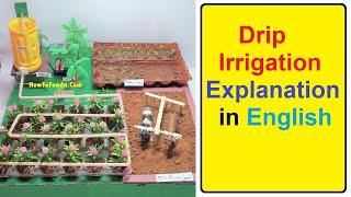 drip irrigation working model explanation in English | howtofunda