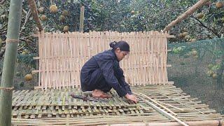 The newly completed chicken coop will hold a lot of chickens.