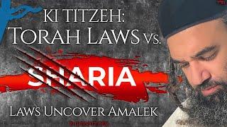 KI TITZEH: Torah Laws Vs. Sharia Laws Uncover Amalek - STUMP THE RABBI (216)