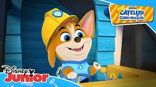 Top construcții | Cățeluși constructori | Disney Junior România